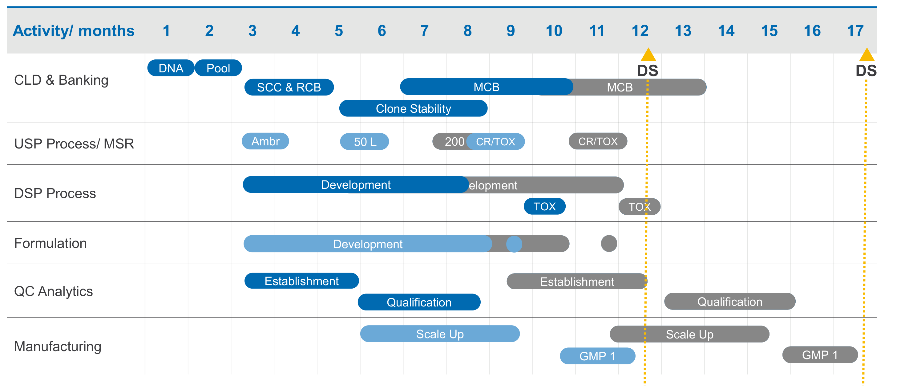 Development timeline showing the drug substance milestone reached at month 12 rather than month 17