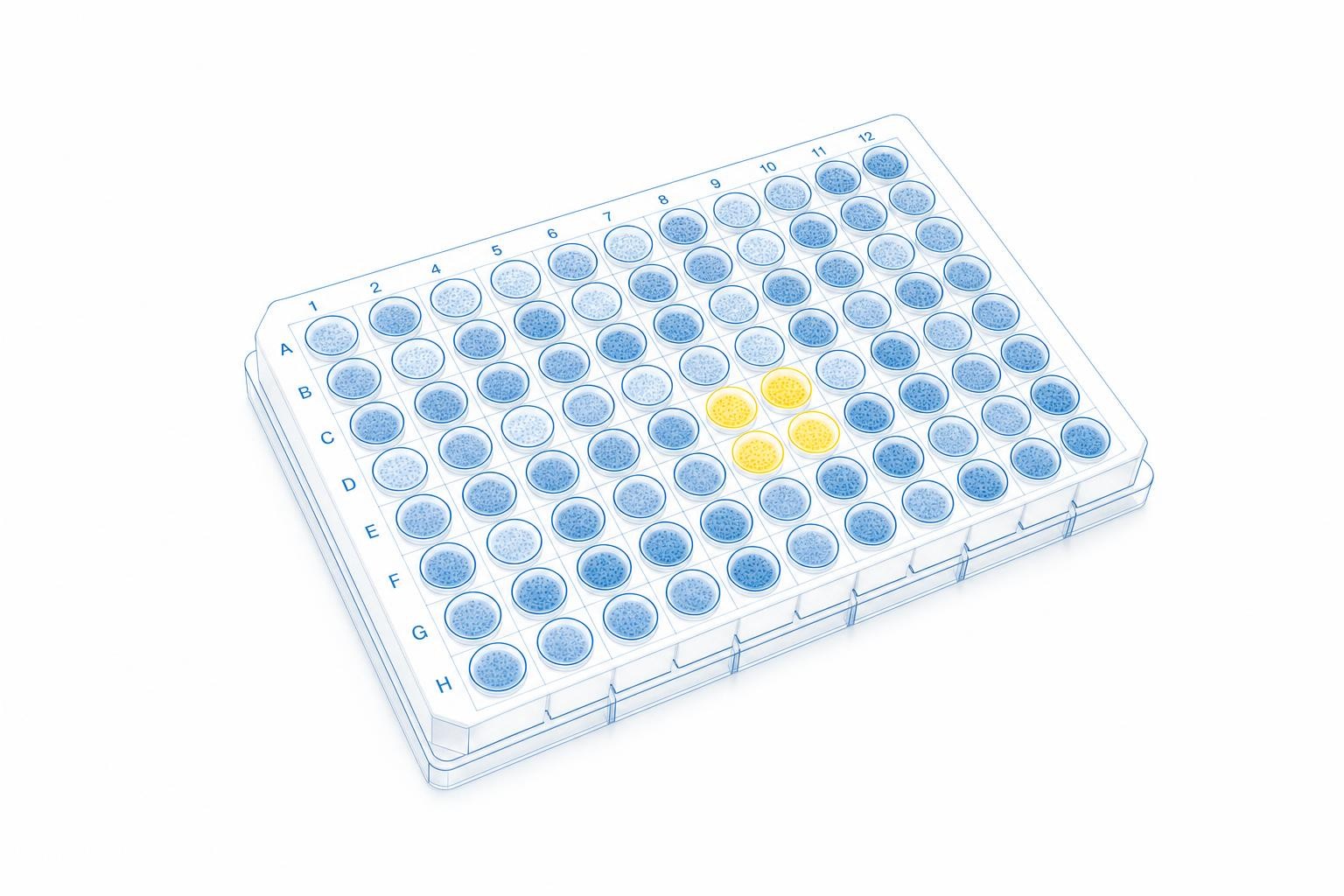 Minimal blue technical illustration on white: a large uniform array of small circular cell colonies in a grid, with a small cluster of them highlighted as selected candidates - evoking selecting a few from many. Clean geometric, generous white space. Dominant Rentschler blue #006ab2 with paler blue tints; the selected few picked out in a single small #ffe000 yellow accent. Bright, high-key, precise and scientific. No text, no logos, no clutter.